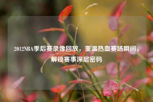 2012NBA季后赛录像回放,重温热血赛场瞬间,解锁赛事深层密码