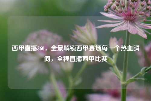 西甲直播360，全景解锁西甲赛场每一个热血瞬间，全程直播西甲比赛