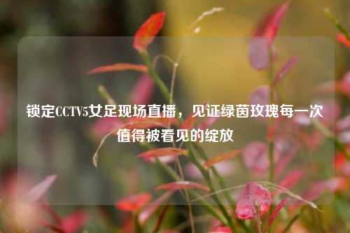 锁定CCTV5女足现场直播，见证绿茵玫瑰每一次值得被看见的绽放