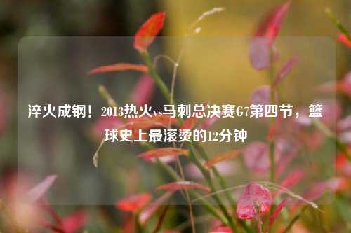 淬火成钢！2013热火vs马刺总决赛G7第四节，篮球史上最滚烫的12分钟
