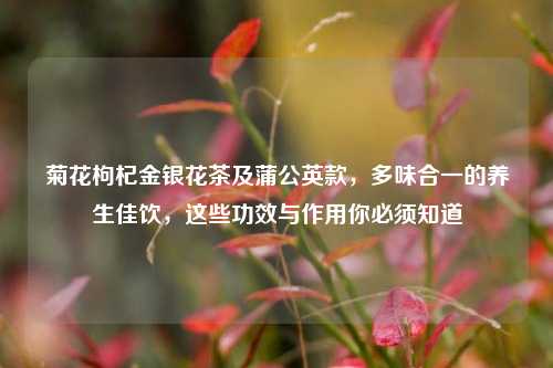 菊花枸杞金银花茶及蒲公英款，多味合一的养生佳饮，这些功效与作用你必须知道