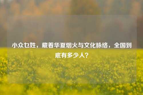 小众乜姓，藏着华夏烟火与文化脉络，全国到底有多少人？
