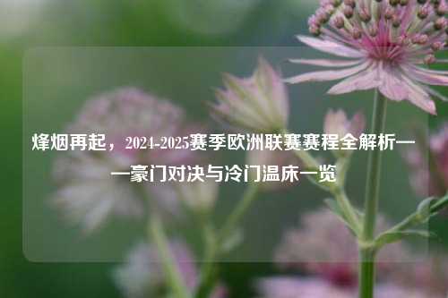 烽烟再起,2024-2025赛季欧洲联赛赛程全解析——豪门对决与冷门温床一览