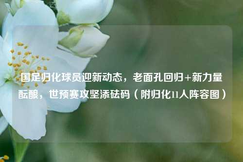 国足归化球员迎新动态,老面孔回归+新力量酝酿,世预赛攻坚添砝码(附归化11人阵容图)