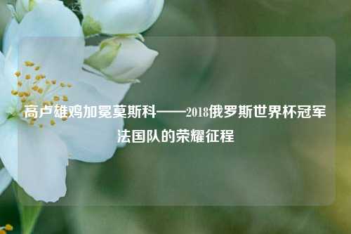 高卢雄鸡加冕莫斯科——2018俄罗斯世界杯冠军法国队的荣耀征程