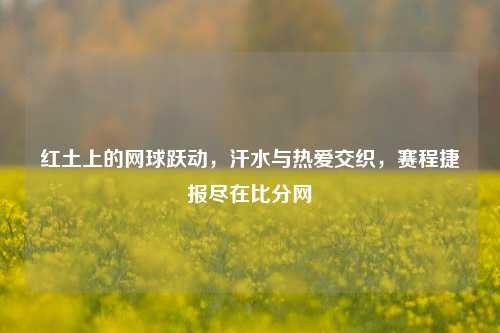 红土上的网球跃动，汗水与热爱交织，赛程捷报尽在比分网