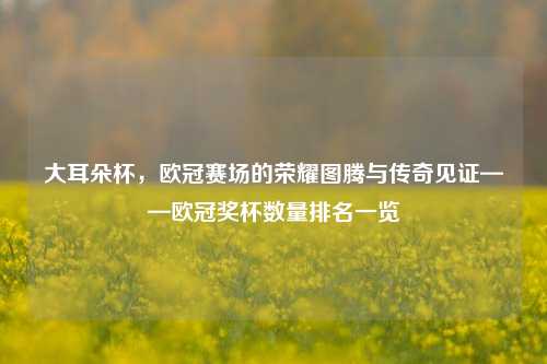 大耳朵杯，欧冠赛场的荣耀图腾与传奇见证——欧冠奖杯数量排名一览