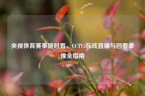 央视体育赛事随时看，CCTV5在线直播与回看录像全指南