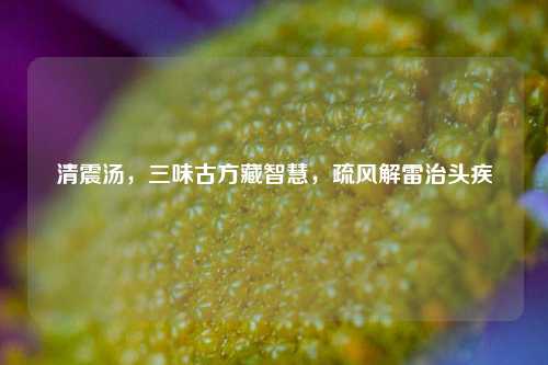 清震汤，三味古方藏智慧，疏风解雷治头疾