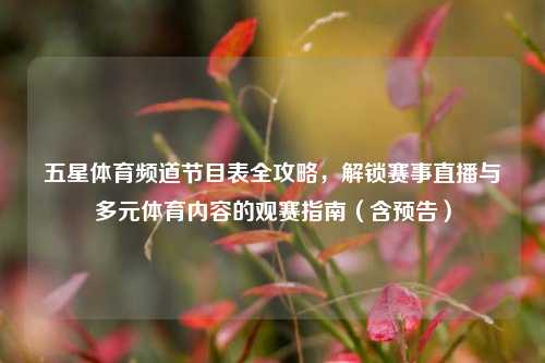 五星体育频道节目表全攻略,解锁赛事直播与多元体育内容的观赛指南(含预告)