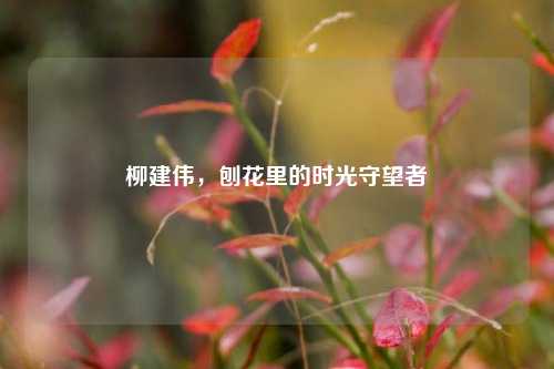 柳建伟，刨花里的时光守望者