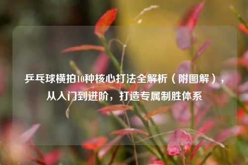 乒乓球横拍10种核心打法全解析（附图解），从入门到进阶，打造专属制胜体系