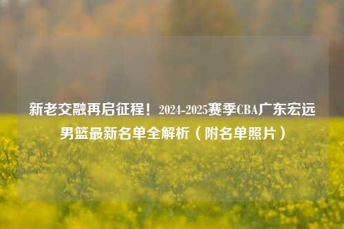 新老交融再启征程！2024-2025赛季CBA广东宏远男篮最新名单全解析（附名单照片）