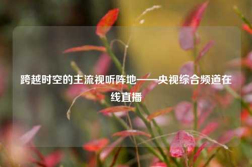 跨越时空的主流视听阵地——央视综合频道在线直播