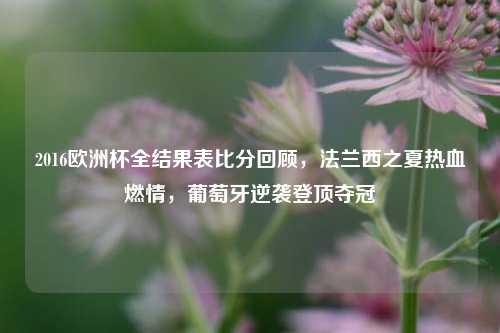 2016欧洲杯全结果表比分回顾，法兰西之夏热血燃情，葡萄牙逆袭登顶夺冠