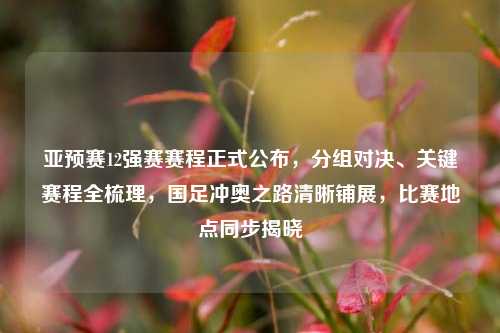 亚预赛12强赛赛程正式公布，分组对决、关键赛程全梳理，国足冲奥之路清晰铺展，比赛地点同步揭晓