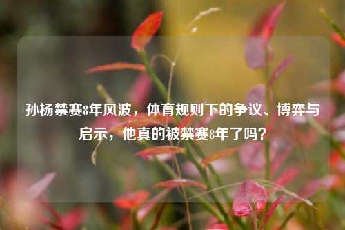 孙杨禁赛8年风波，体育规则下的争议、博弈与启示，他真的被禁赛8年了吗？