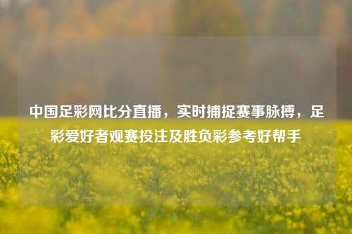 中国足彩网比分直播，实时捕捉赛事脉搏，足彩爱好者观赛投注及胜负彩参考好帮手