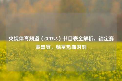央视体育频道（CCTV-5）节目表全解析，锁定赛事盛宴，畅享热血时刻