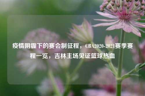 疫情阴霾下的赛会制征程,CBA2020-2021赛季赛程一览,吉林主场见证篮球热血