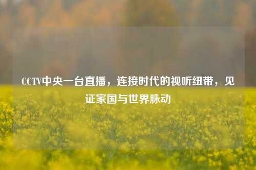 CCTV中央一台直播，连接时代的视听纽带，见证家国与世界脉动