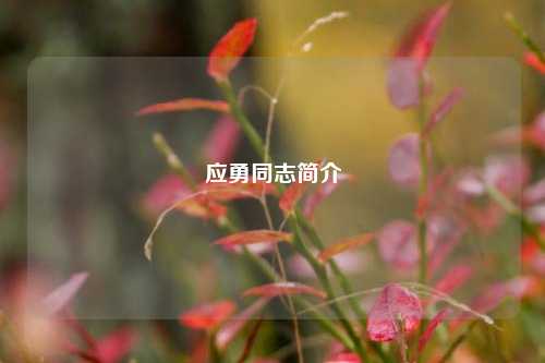应勇同志简介