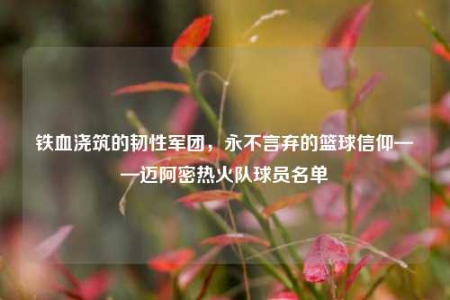 铁血浇筑的韧性军团，永不言弃的篮球信仰——迈阿密热火队球员名单