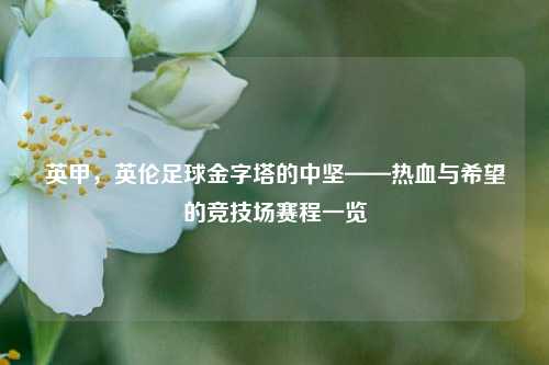 英甲，英伦足球金字塔的中坚——热血与希望的竞技场赛程一览