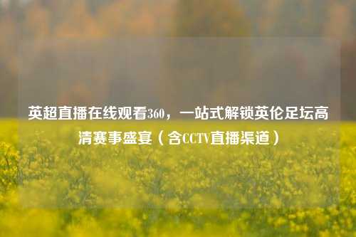 英超直播在线观看360，一站式解锁英伦足坛高清赛事盛宴（含CCTV直播渠道）