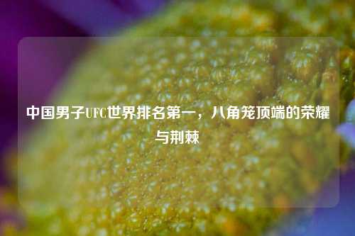 中国男子UFC世界排名第一,八角笼顶端的荣耀与荆棘