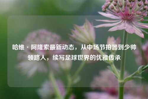 哈维·阿隆索最新动态，从中场节拍器到少帅领路人，续写足球世界的优雅传承