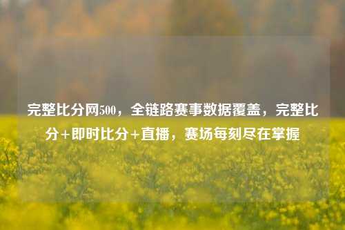 完整比分网500，全链路赛事数据覆盖，完整比分+即时比分+直播，赛场每刻尽在掌握