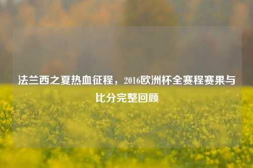 法兰西之夏热血征程,2016欧洲杯全赛程赛果与比分完整回顾