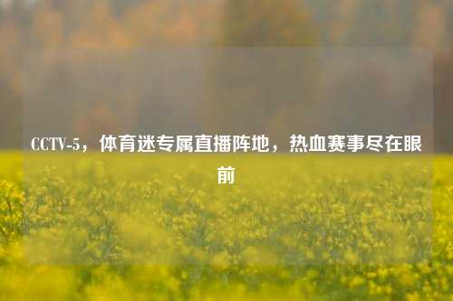 CCTV-5,体育迷专属直播阵地,热血赛事尽在眼前