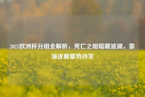 2021欧洲杯分组全解析，死亡之组暗藏波澜，豪强逐鹿蓄势待发