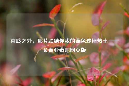 南岭之外，那片联结你我的蓝色球迷热土——长春亚泰吧网页版