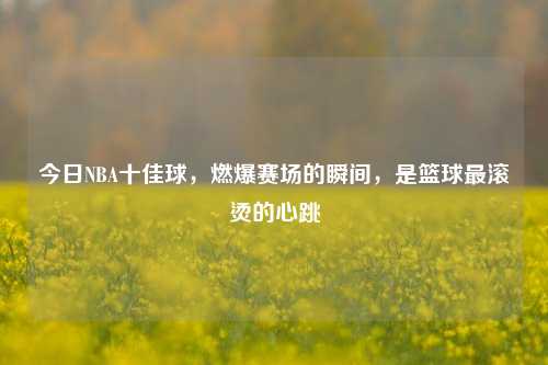 今日NBA十佳球，燃爆赛场的瞬间，是篮球最滚烫的心跳