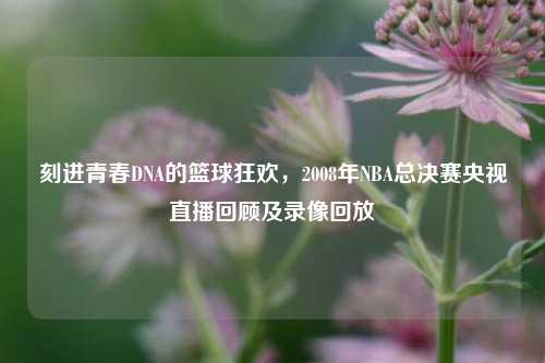 刻进青春DNA的篮球狂欢，2008年NBA总决赛央视直播回顾及录像回放