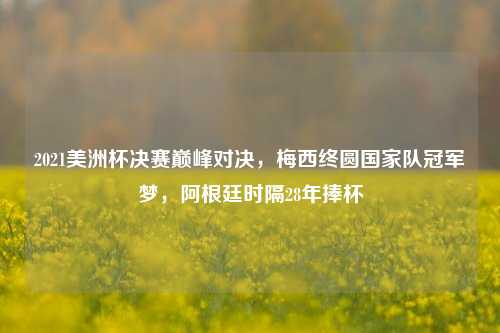 2021美洲杯决赛巅峰对决，梅西终圆国家队冠军梦，阿根廷时隔28年捧杯