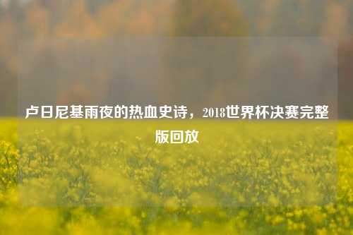 卢日尼基雨夜的热血史诗，2018世界杯决赛完整版回放