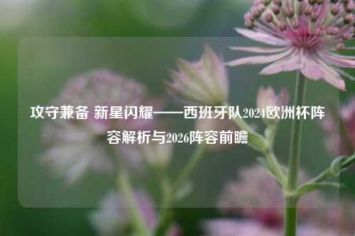 攻守兼备 新星闪耀——西班牙队2024欧洲杯阵容解析与2026阵容前瞻