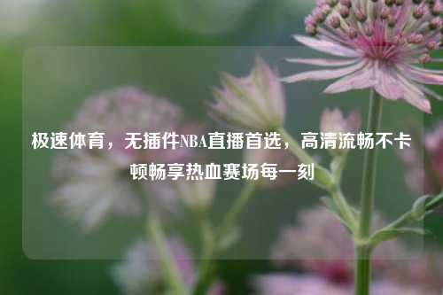 极速体育,无插件NBA直播首选,高清流畅不卡顿畅享热血赛场每一刻