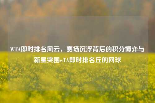 WTA即时排名风云，赛场沉浮背后的积分博弈与新星突围wTA即时排名丘的网球