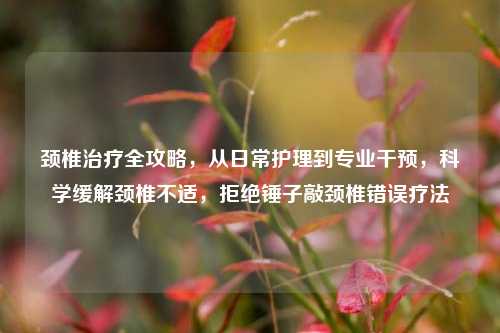 颈椎治疗全攻略，从日常护理到专业干预，科学缓解颈椎不适，拒绝锤子敲颈椎错误疗法