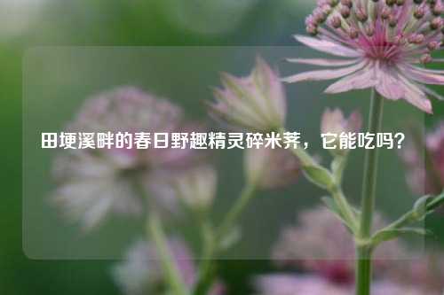田埂溪畔的春日野趣精灵碎米荠，它能吃吗？