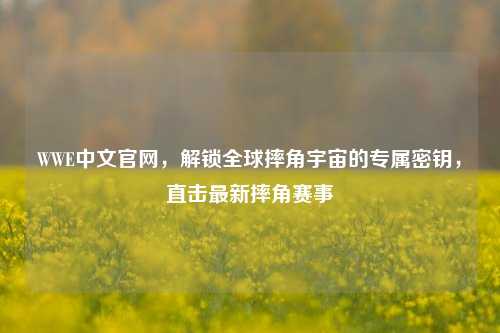 WWE中文官网，解锁全球摔角宇宙的专属密钥，直击最新摔角赛事