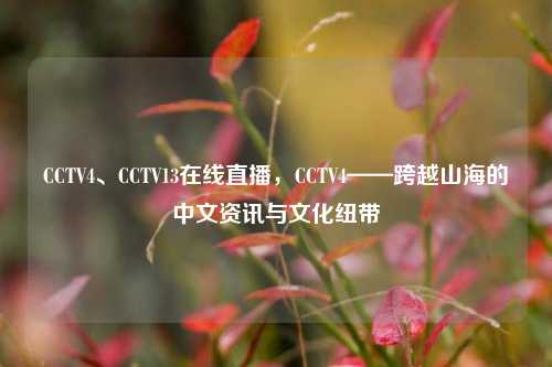 CCTV4、CCTV13在线直播,CCTV4——跨越山海的中文资讯与文化纽带