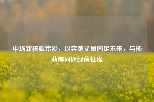 中场新核戴伟浚,以奔跑丈量国足未来,与杨莉娜同逐绿茵征程