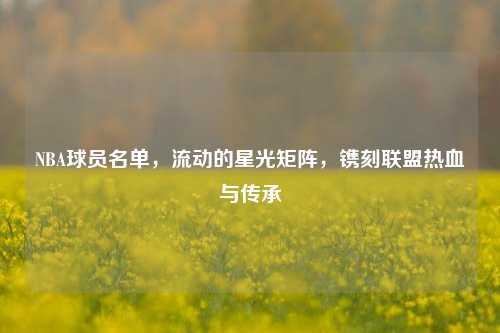NBA球员名单，流动的星光矩阵，镌刻联盟热血与传承