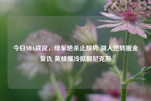 今日NBA战况，绿军绝杀止颓势 湖人逆转掘金复仇 黄蜂爆冷掀翻尼克斯